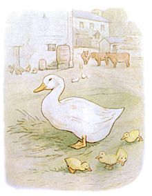 Drawing of a large white duck and four ducklings