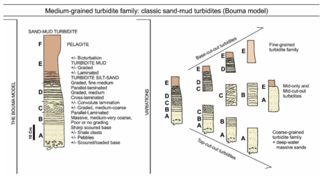 Medium-grained turbidite family The ideal Bouma facies model showing the complete sequence of divisions A–E,[50] while F is a typical partial sequence found in nature. [28]