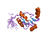 2e2w: Solution structure of the first BRCT domain of human DNA ligase IV