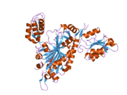 2pme: The Apo crystal Structure of the glycyl-tRNA synthetase