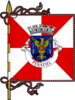 Flag of Penafiel