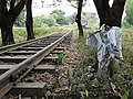 Abandoned section of Death Railway in Thanbyuzayat