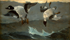 Painting of ducks being shot