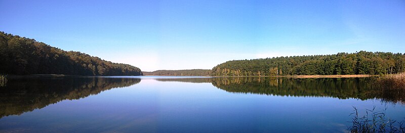 Panorama view of Lake Roofen near Stechlin-Menz