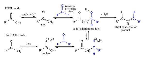 The Aldol reaction