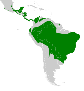 Distribución geográfica del trepatroncos olivaceo.