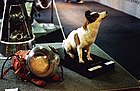 この時の宇宙犬「ストレルカ」の剥製