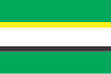 Flag of Andrushivka Raion