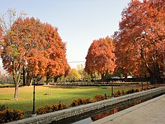 Jardin moghol de Verinag en automne.