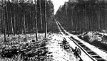 Route tracée dans la forêt pour le mouvement des troupes soviétiques.