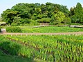 2011年3月28日 (月) 08:15時点における版のサムネイル