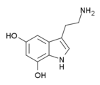 Request: Redraw as SVG. Taken by: Germo New file: 5,7-Dihydroxytryptamine.svg