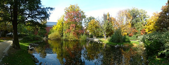 Southern pond in Fall 2013