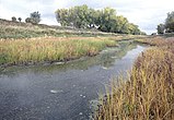 Bois de Sioux River below Lake Traverse dam. Roberts County, South Dakota is at left, and Traverse County, Minnesota is at right.