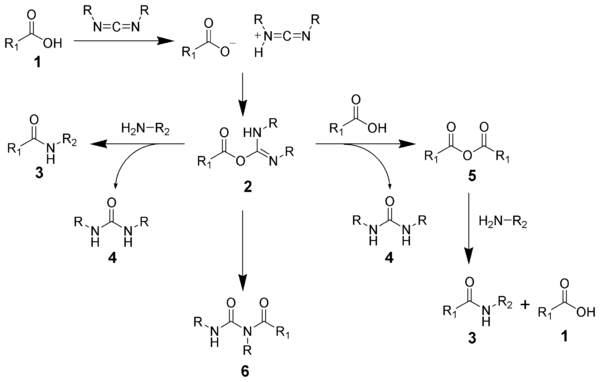 反応機構　カルボジイミドを用いたアミド結合形成反応
