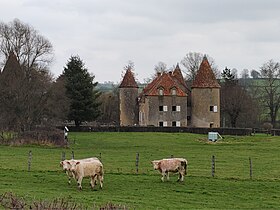 Image illustrative de l’article Château du Montot