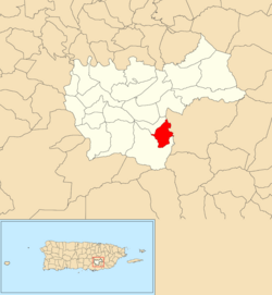 Location of Culebras Alto within the municipality of Cayey shown in red