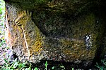 Stone relief of a Marquesan Dog, Hiva Oa, Marquesas Islands