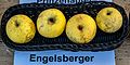 Engelsberger