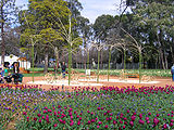 Plant sculptures, 2005