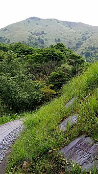 於嘉道理農場內所攝的大帽山北坡，山坡上階梯狀為茶田遺址。