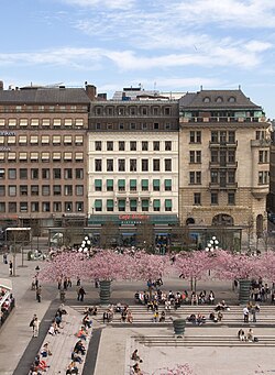 Foto på Bäckströmska huset i Kungsträdgården medan körsbärsträden blommar.