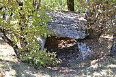 Dolmen de Joncas