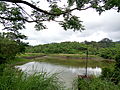 鸞山湖濕地一景