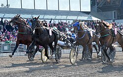 Nuncio wins Elitloppet 2016.jpg