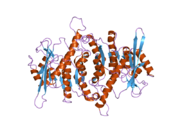 2f7k: Crystal Structure of Human Pyridoxal Kinase