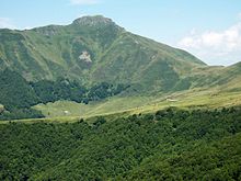 Photo de la face sud du Puy de Peire-Arse. Un tiers du bas de la photo est occupé par une forêt très dense. Au-delà et jusqu'au pied du Puy, une assez large bande de prairie s'étendant jusqu'au creux d'un renfoncement profond (juste avant la base du puy tel que photographié ici), où l'on voit un bâtiment agricole. Tout en faut du renfoncement, vers la droite de la photo, une ferme et des vaches brunes paissant à droite et devant elle, ainsi qu'un peu plus loin à gauche en un groupe plus compact. Sur face sud du Puy verdoyante, quelques arbres puis quelques maigres herbes et juste avant son sommet (à nouveau vert), une bande de rochers gris. De part et d'autre du puy, à une altitude un peu moins élevée, de hautes terres se découpent comme lui sous le ciel bleu. De ce sommet, une longue ligne de crête descend vers la droite séparant à sa droite un versant abrupt jusqu'au creux du renfoncement dont on a parlé et à sa gauche un versant moins important rejoignant les plis montagneux des plus hauts contreforts.