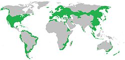 Mapa aproximado de su distribución, aunque la especie continúa adentrándose en nuevos territorios.