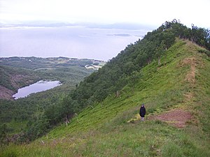 View from mountain on Hadseløya