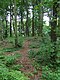 Burial mound on Yding Skovhøj