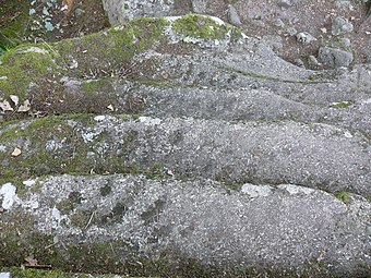 Détail des marches avec traces de taille.