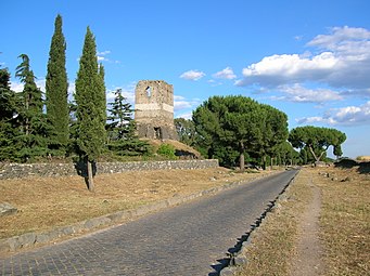 Pines on Via Appia Antica