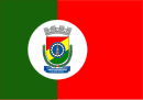 Drapeau de Novo Hamburgo