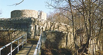 Zwingeranlage, Toranlage und Turm