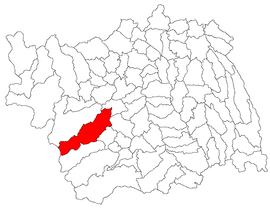 Location in Bacău County