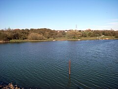 Fens Pools Middle Pool 2