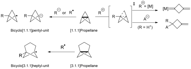 First line shows addition of radical and anions to [1.1.1]Propellane producing Bicyclo[1.1.1]pentane units. It also shows addition of Cations add to the bridgebond of [1.1.1]Propellane. The second line of the figure shows the general reactivity of [3.1.1]Propellane undergoing addition of radicals to produce bicyclo[3.1.1]heptyl-units (no cationic and anionic reactivity reported so far)