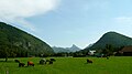 Bei Grünau taleinwärts, Blick zur Falkenmauer