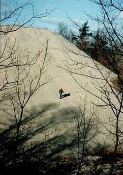 View of the dune