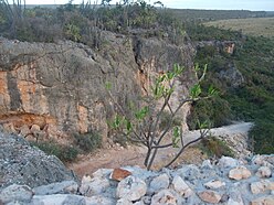 Semi-arid climate in Pedernales, Hispaniolan dry forests, Dominican Republic and Haiti, the island of Hispaniola