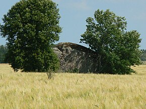 Валун Купу (Купукиви) в деревне Купу