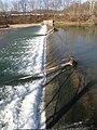 Diversion dam at Laurel