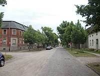 Lindenallee der Anhalter Straße