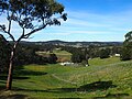 View SE across the Piccadilly Valley from the Mount Lofty Scenic Route. The summit of Mount Barker, 22 km away, is visible on the horizon.