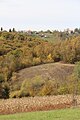 Plužac - panorama