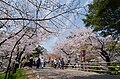 2011年8月14日 (日) 14:04時点における版のサムネイル